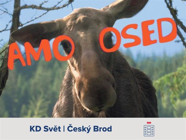AMOOSED: Losí odysea