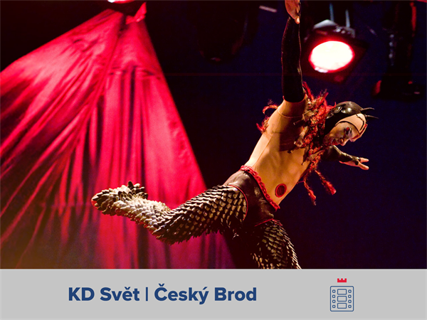 Cirque du Soleil: KOOZA