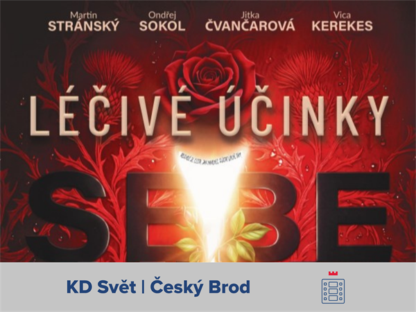 Léčivé účinky sebeklamu