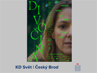 Divočina