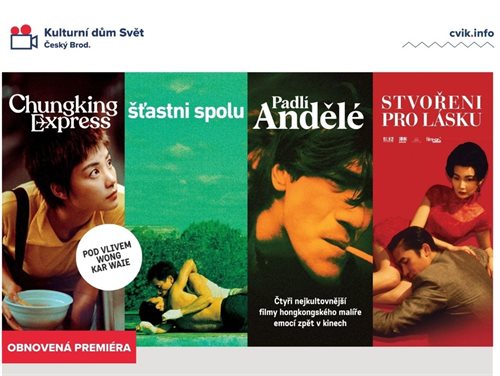 Pod vlivem Wong Kar Waie