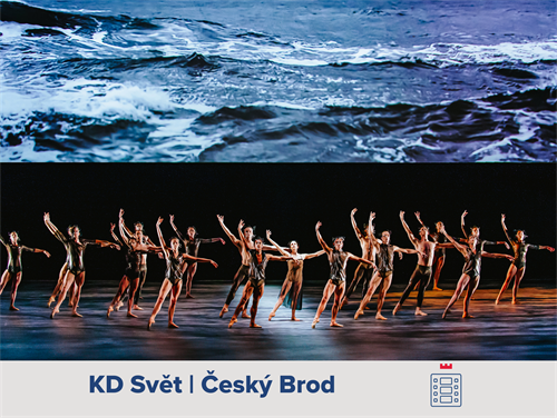 Ozvěny měsíce čtenářů v kině